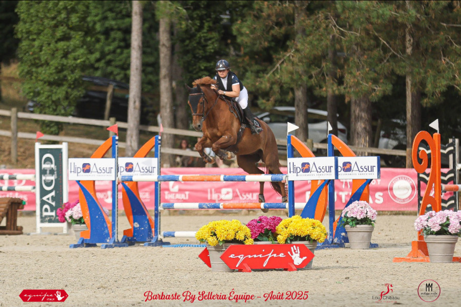 Vente de cheval : Dakota de la Palati 