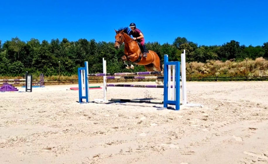 Vente de cheval : Aydeen
