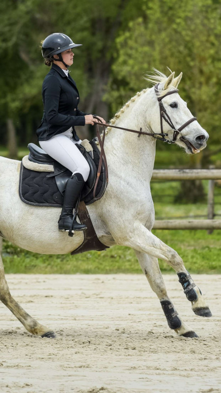 Vente de cheval : Virgin free d?estagel