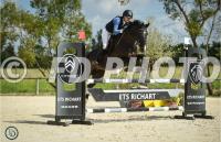 Vente de cheval : Belastar de therlong z