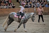 Vente de poney