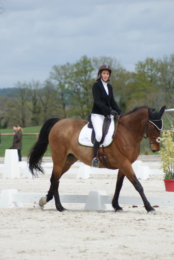 amadine race hors3 amadine race hors3