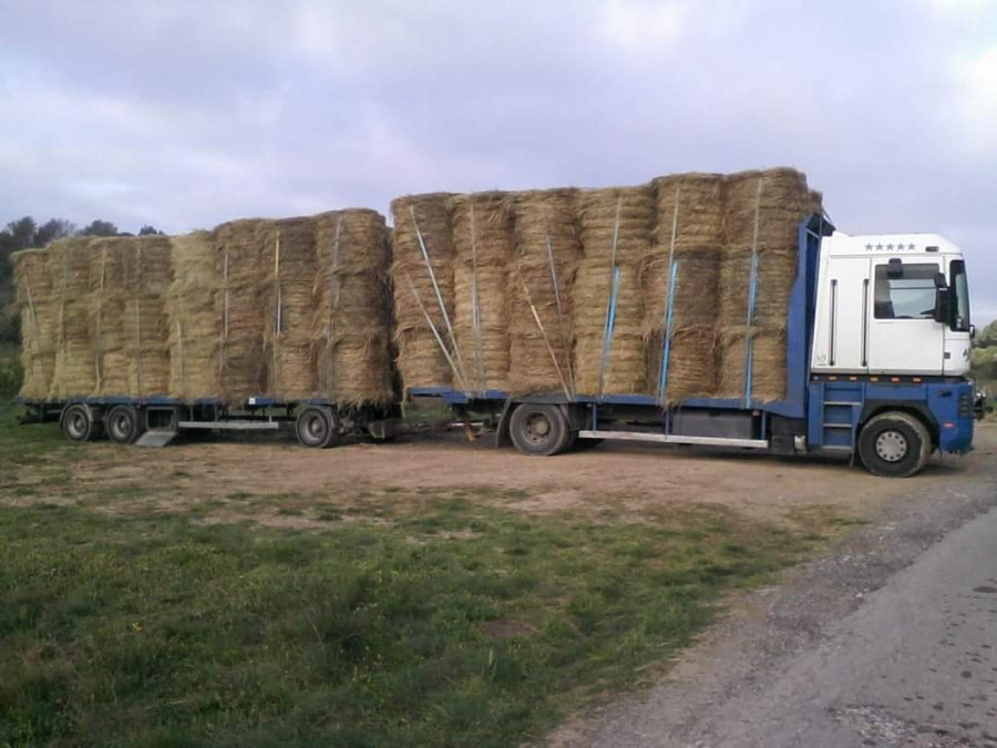 Foin à partir de 120?/tonne région occitanie