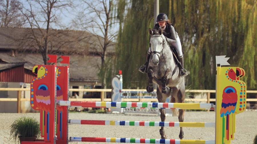Vente de cheval : Goyave Dela Rochette
