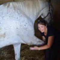 Shiatsu animaux
