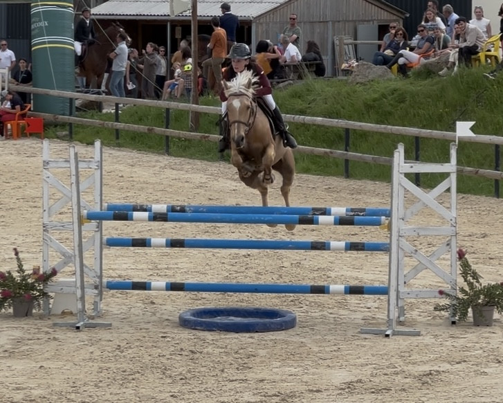 Vente de poney
