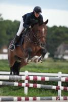 Vente de cheval : Olympique VDS