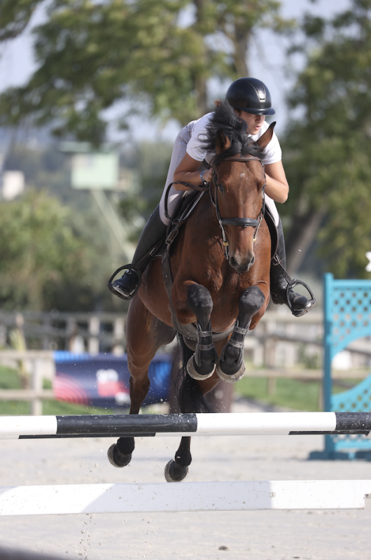 Vente de cheval : Cimano Sunheup Z