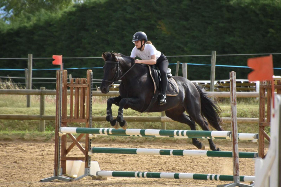 Vente de cheval : Azabache