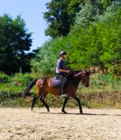 Vente de cheval : Garrida de Courenne 