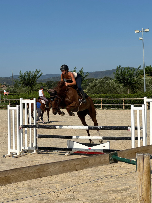 Vente de cheval : Diva 