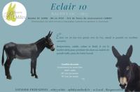 Eclair 10