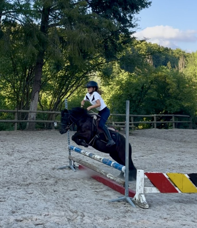 Vente de poney