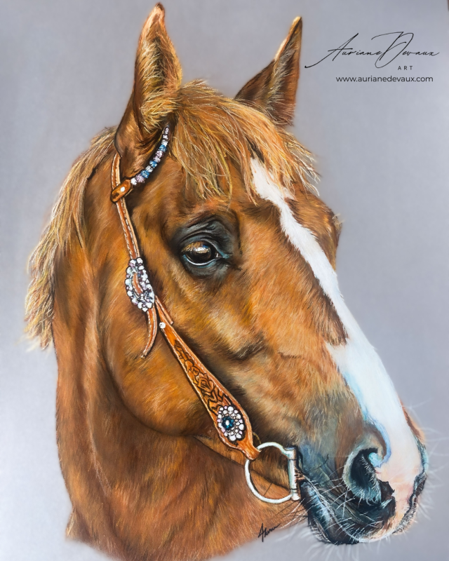 Peinture quine