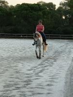 Vente de cheval : HACENDOSO RAM V