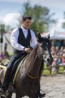 Demi pension cheval Lusitanien
