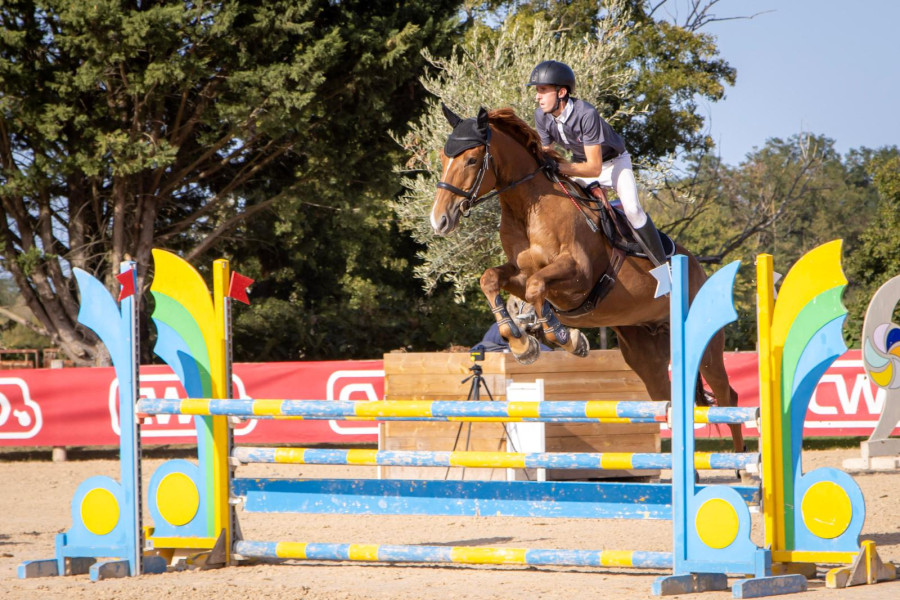 Vente de cheval : Dillinger du Frty