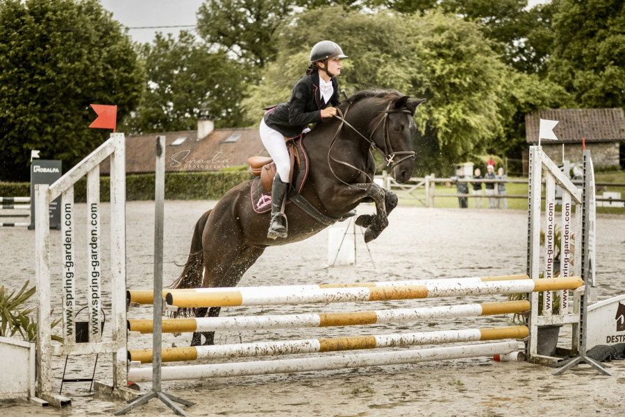 Vente de poney