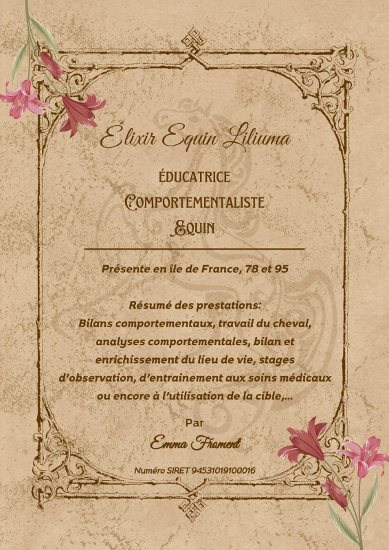 ducatrice Comportementaliste Equin