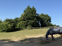 Pensions pour chevaux