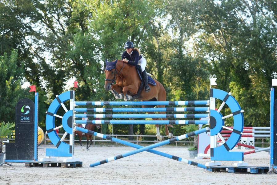 Vente de cheval : Grimaldi