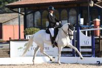 Vente de cheval : Jevora