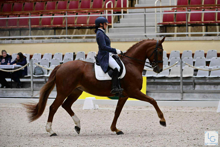 Vente de cheval : Fantaisy