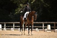 Vente de cheval : Deejay