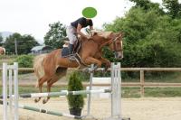 Vente de cheval : Kadence
