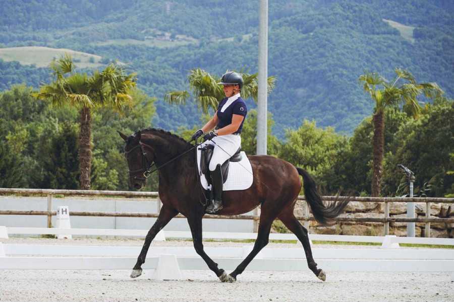 Vente de cheval : Pixel