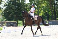 Vente de cheval : cadence