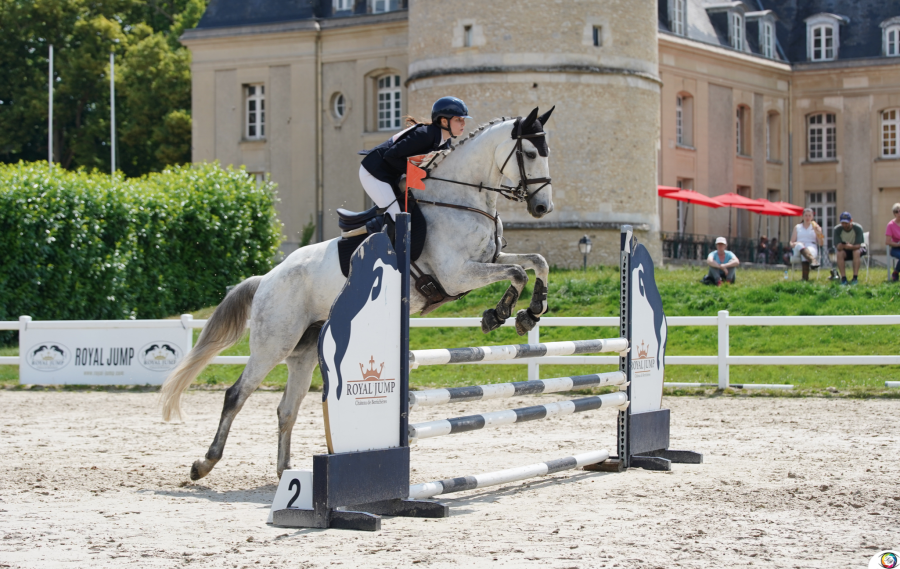 Vente de cheval : Elite Duboisdelanoue