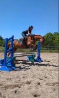 Vente de cheval : Epona