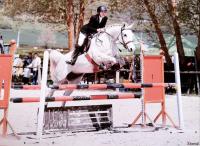 Vente de cheval : Altair du rei d'ouzy