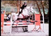 Vente de cheval : ALTAIR DU REI DOUZY