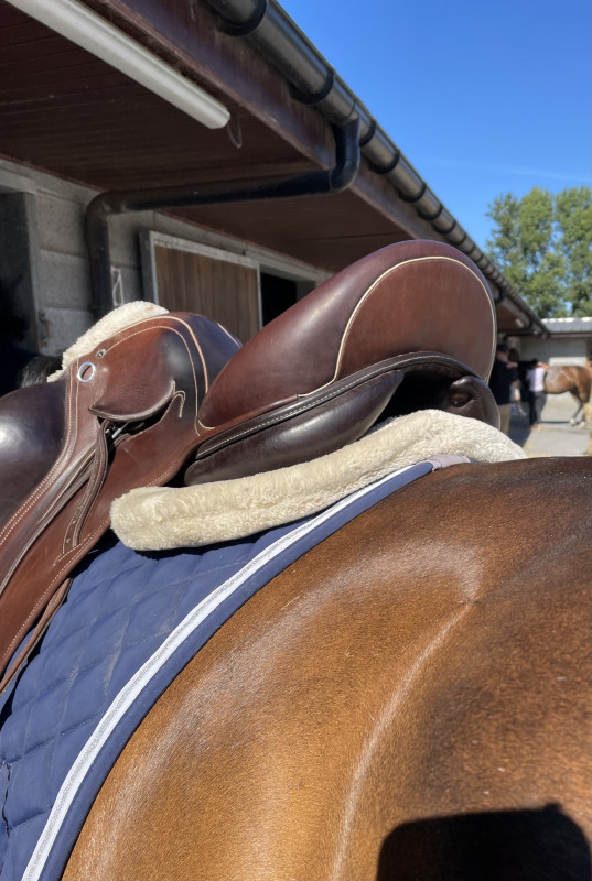 Selle dressage jump in 18 chevalannonce
