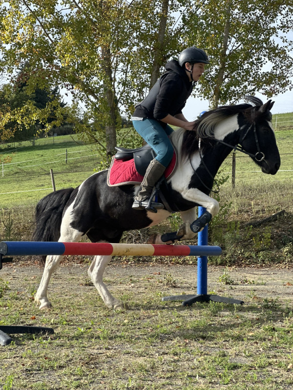 Vente de poney