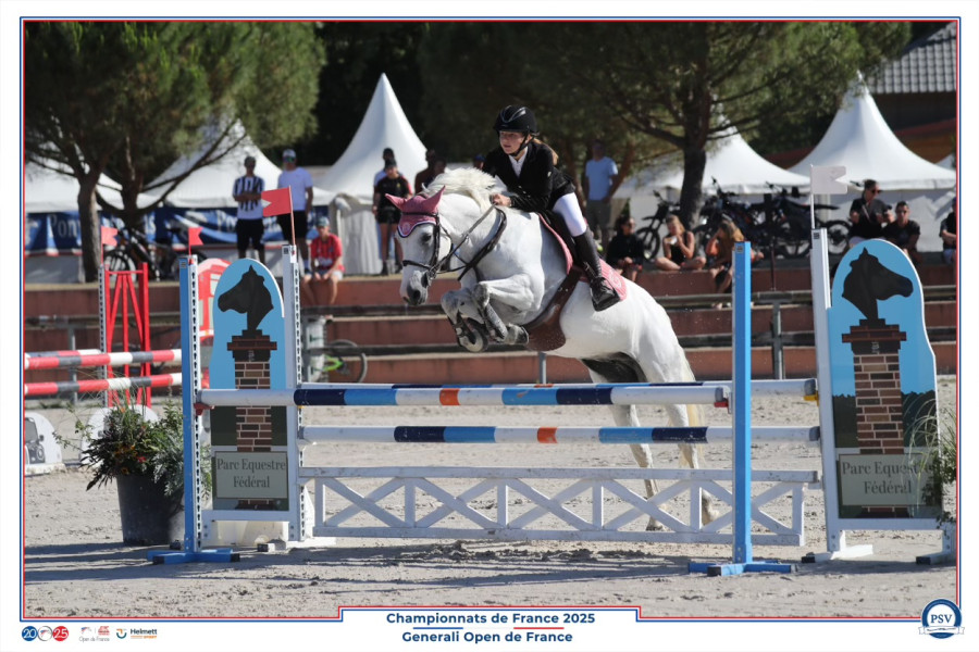 Vente de poney