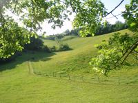 Vente Belles demeures questres