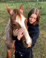 Traduction Equestre Anglais > Franais