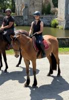 Vente de cheval : Midnight Grands Ducs