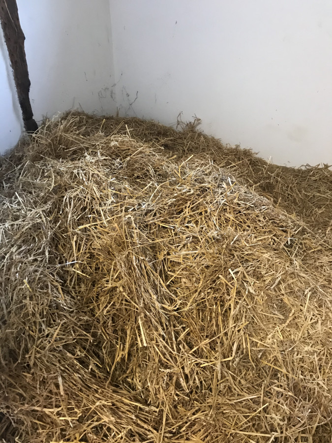Prix De La Paille à La Tonne
