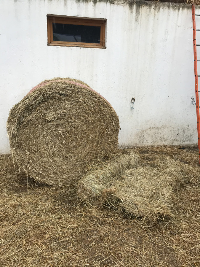 Prix De La Paille à La Tonne