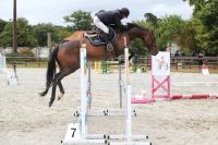 Vente de cheval : Grazilla shaky 