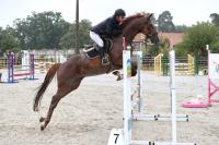 Vente de cheval : Fidelo Beji 