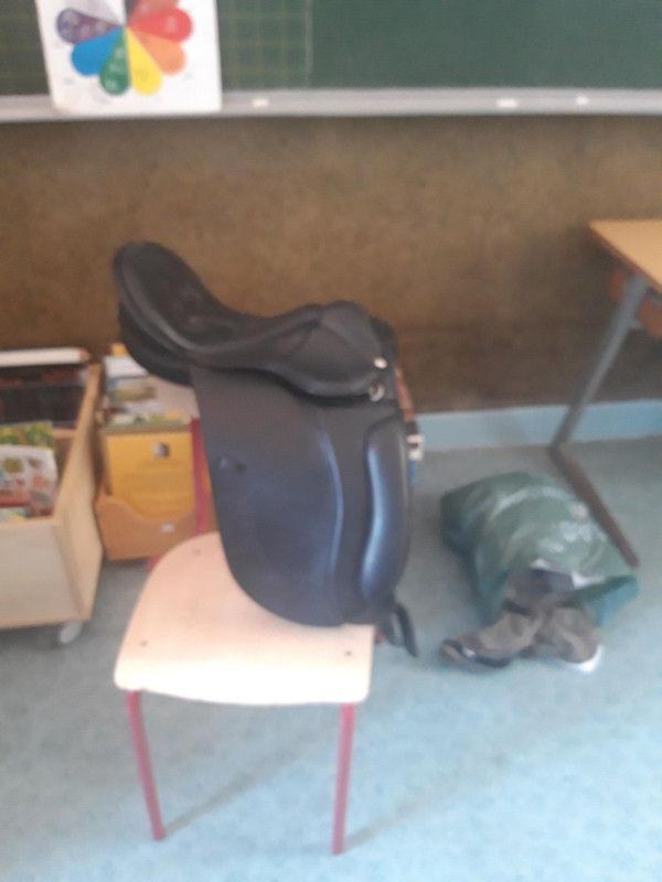 Vente de selle 284