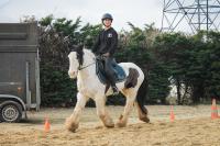 Vente de cheval : Jilly