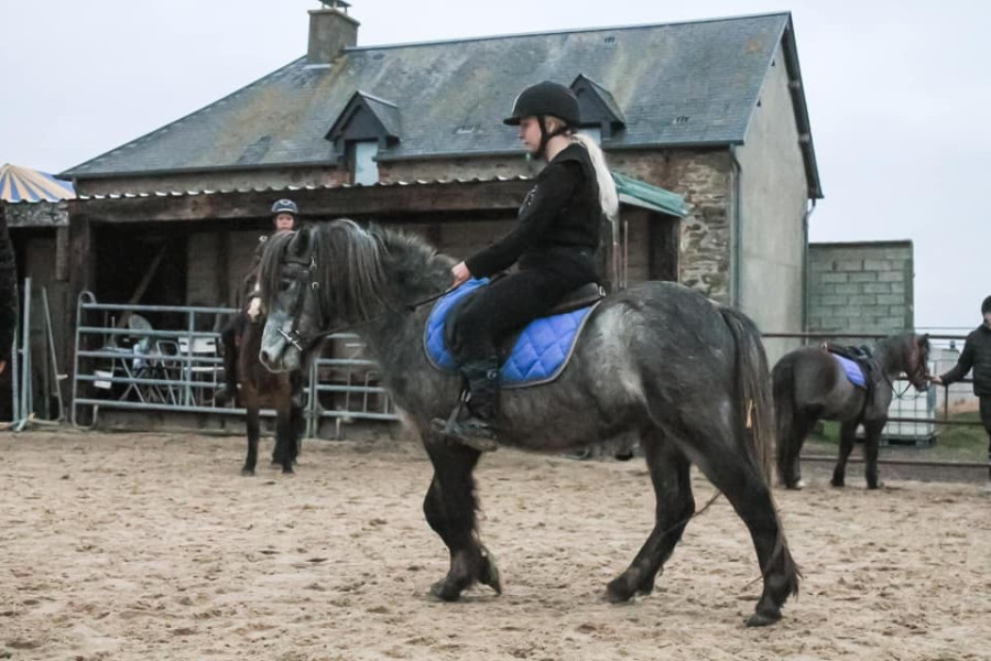 Vente de cheval : Martys Boy 