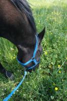 Particulier