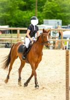 Vente de cheval : Cherie